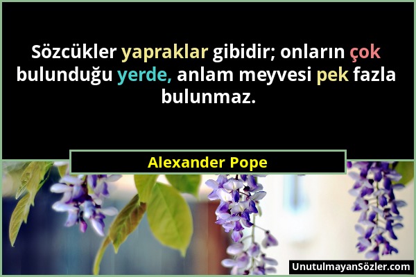 Alexander Pope - Sözcükler yapraklar gibidir; onların çok bulunduğu yerde, anlam meyvesi pek fazla bulunmaz....