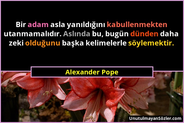 Alexander Pope - Bir adam asla yanıldığını kabullenmekten utanmamalıdır. Aslında bu, bugün dünden daha zeki olduğunu başka kelimelerle söylemektir....