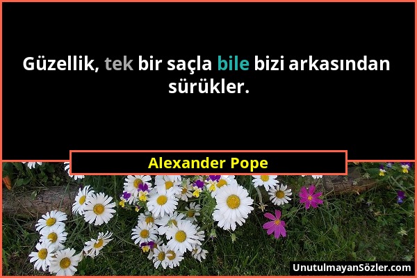 Alexander Pope - Güzellik, tek bir saçla bile bizi arkasından sürükler....