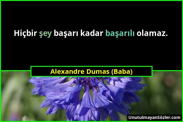 Alexandre Dumas (Baba) - Hiçbir şey başarı kadar başarılı olamaz....