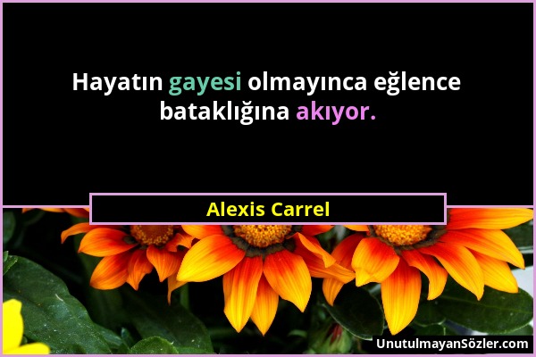 Alexis Carrel - Hayatın gayesi olmayınca eğlence bataklığına akıyor....