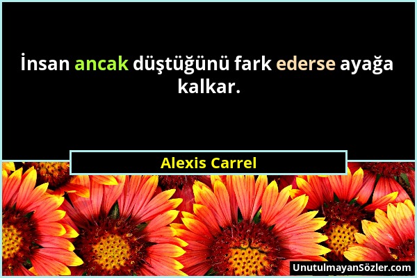 Alexis Carrel - İnsan ancak düştüğünü fark ederse ayağa kalkar....