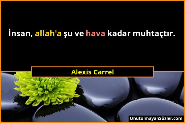 Alexis Carrel - İnsan, allah'a şu ve hava kadar muhtaçtır....