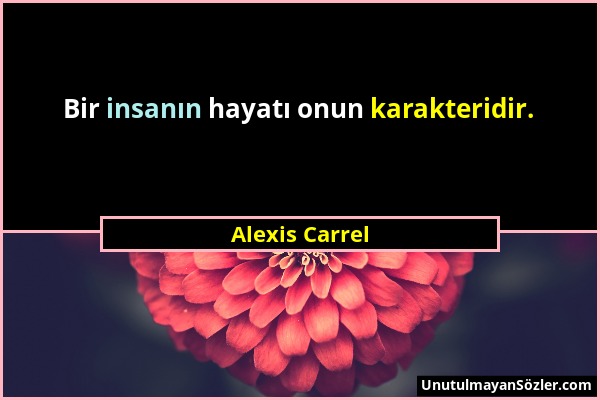 Alexis Carrel - Bir insanın hayatı onun karakteridir....