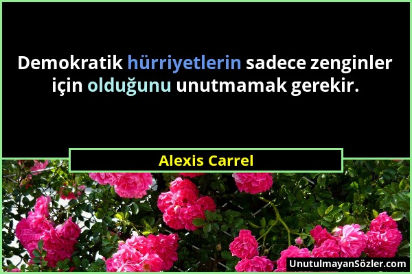 Alexis Carrel - Demokratik hürriyetlerin sadece zenginler için olduğunu unutmamak gerekir....