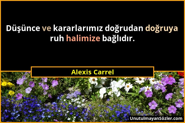 Alexis Carrel - Düşünce ve kararlarımız doğrudan doğruya ruh halimize bağlıdır....