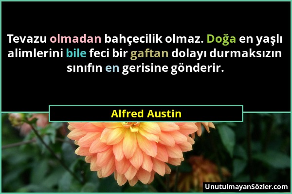 Alfred Austin - Tevazu olmadan bahçecilik olmaz. Doğa en yaşlı alimlerini bile feci bir gaftan dolayı durmaksızın sınıfın en gerisine gönderir....