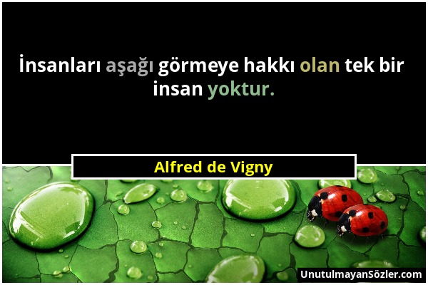 Alfred de Vigny - İnsanları aşağı görmeye hakkı olan tek bir insan yoktur....