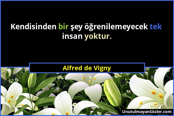 Alfred de Vigny - Kendisinden bir şey öğrenilemeyecek tek insan yoktur....