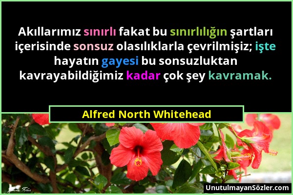 Alfred North Whitehead - Akıllarımız sınırlı fakat bu sınırlılığın şartları içerisinde sonsuz olasılıklarla çevrilmişiz; işte hayatın gayesi bu sonsuz...
