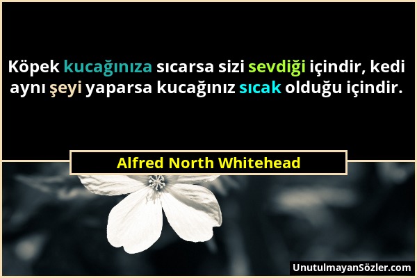 Alfred North Whitehead - Köpek kucağınıza sıcarsa sizi sevdiği içindir, kedi aynı şeyi yaparsa kucağınız sıcak olduğu içindir....