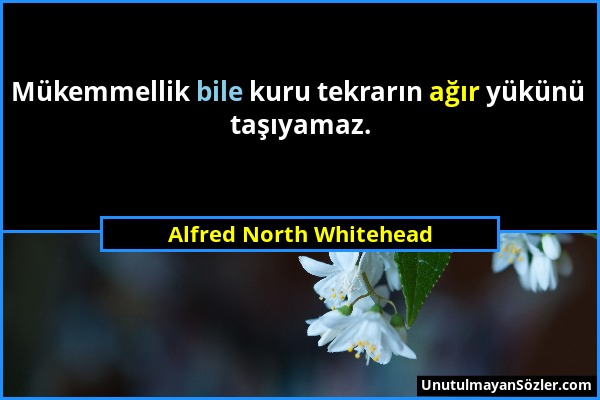 Alfred North Whitehead - Mükemmellik bile kuru tekrarın ağır yükünü taşıyamaz....