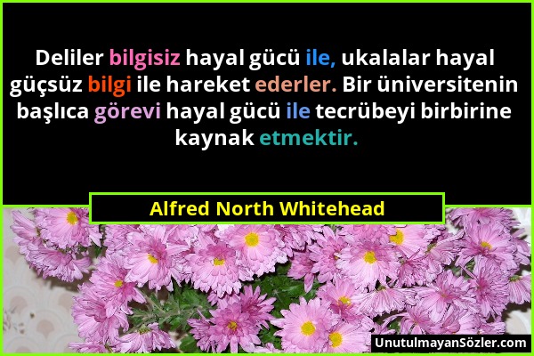 Alfred North Whitehead - Deliler bilgisiz hayal gücü ile, ukalalar hayal güçsüz bilgi ile hareket ederler. Bir üniversitenin başlıca görevi hayal gücü...
