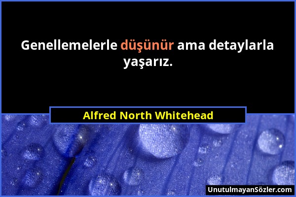 Alfred North Whitehead - Genellemelerle düşünür ama detaylarla yaşarız....