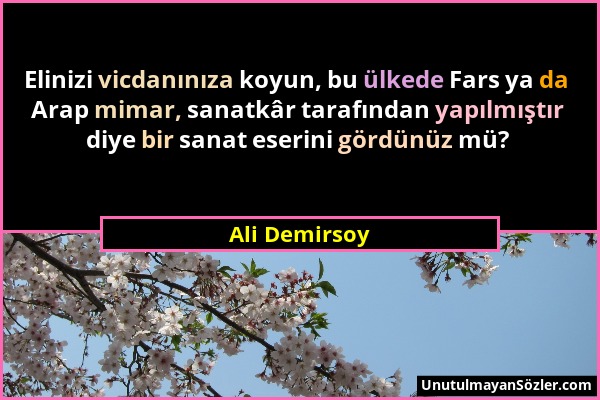 Ali Demirsoy - Elinizi vicdanınıza koyun, bu ülkede Fars ya da Arap mimar, sanatkâr tarafından yapılmıştır diye bir sanat eserini gördünüz mü?...