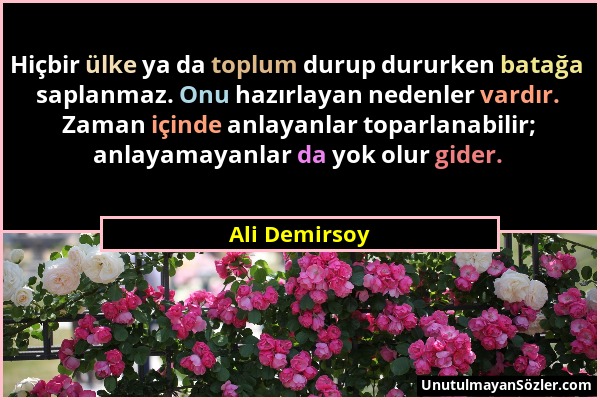 Ali Demirsoy - Hiçbir ülke ya da toplum durup dururken batağa saplanmaz. Onu hazırlayan nedenler vardır. Zaman içinde anlayanlar toparlanabilir; anlay...