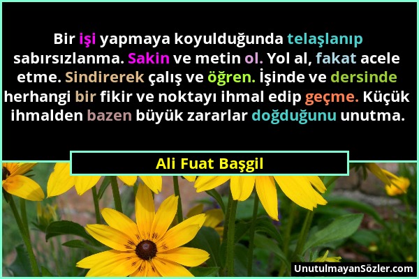 Ali Fuat Başgil - Bir işi yapmaya koyulduğunda telaşlanıp sabırsızlanma. Sakin ve metin ol. Yol al, fakat acele etme. Sindirerek çalış ve öğren. İşind...