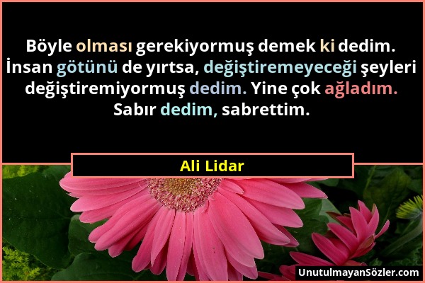 Ali Lidar - Böyle olması gerekiyormuş demek ki dedim. İnsan götünü de yırtsa, değiştiremeyeceği şeyleri değiştiremiyormuş dedim. Yine çok ağladım. Sab...