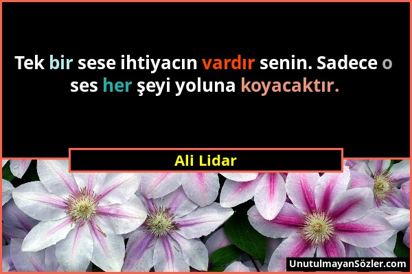 Ali Lidar - Tek bir sese ihtiyacın vardır senin. Sadece o ses her şeyi yoluna koyacaktır....