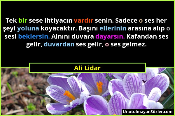 Ali Lidar - Tek bir sese ihtiyacın vardır senin. Sadece o ses her şeyi yoluna koyacaktır. Başını ellerinin arasına alıp o sesi beklersin. Alnını duvar...