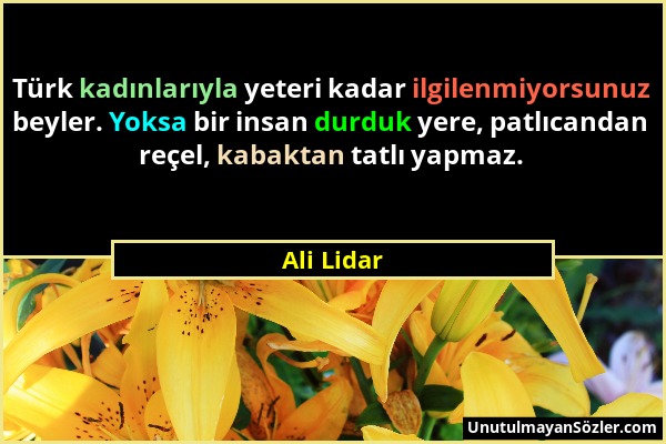 Ali Lidar - Türk kadınlarıyla yeteri kadar ilgilenmiyorsunuz beyler. Yoksa bir insan durduk yere, patlıcandan reçel, kabaktan tatlı yapmaz....