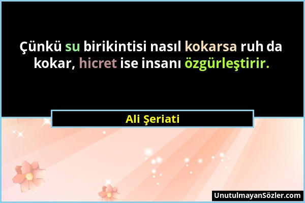 Ali Şeriati - Çünkü su birikintisi nasıl kokarsa ruh da kokar, hicret ise insanı özgürleştirir....