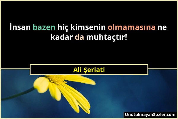 Ali Şeriati - İnsan bazen hiç kimsenin olmamasına ne kadar da muhtaçtır!...