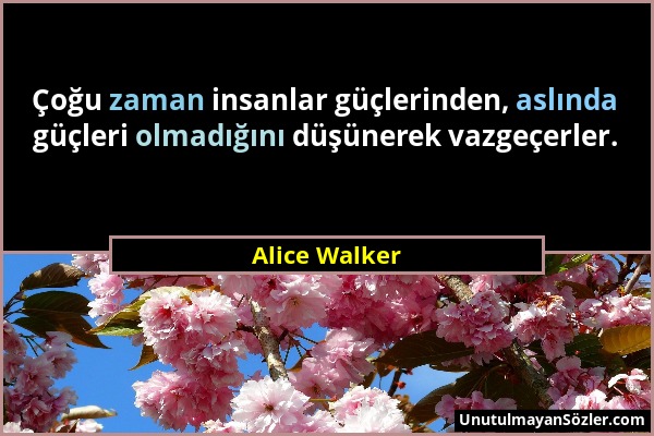 Alice Walker - Çoğu zaman insanlar güçlerinden, aslında güçleri olmadığını düşünerek vazgeçerler....