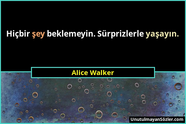 Alice Walker - Hiçbir şey beklemeyin. Sürprizlerle yaşayın....