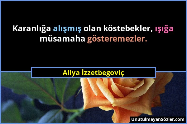 Aliya İzzetbegoviç - Karanlığa alışmış olan köstebekler, ışığa müsamaha gösteremezler....