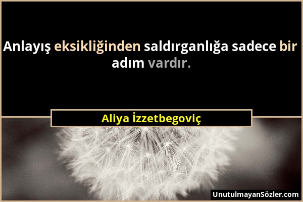 Aliya İzzetbegoviç - Anlayış eksikliğinden saldırganlığa sadece bir adım vardır....