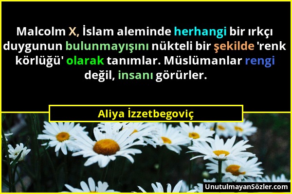 Aliya İzzetbegoviç - Malcolm X, İslam aleminde herhangi bir ırkçı duygunun bulunmayışını nükteli bir şekilde 'renk körlüğü' olarak tanımlar. Müslümanl...