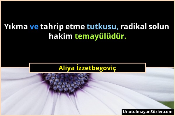 Aliya İzzetbegoviç - Yıkma ve tahrip etme tutkusu, radikal solun hakim temayülüdür....