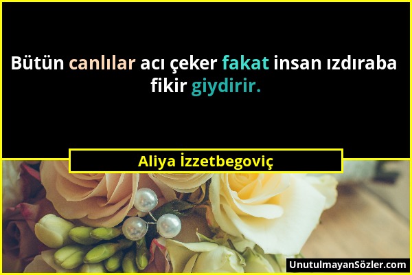 Aliya İzzetbegoviç - Bütün canlılar acı çeker fakat insan ızdıraba fikir giydirir....