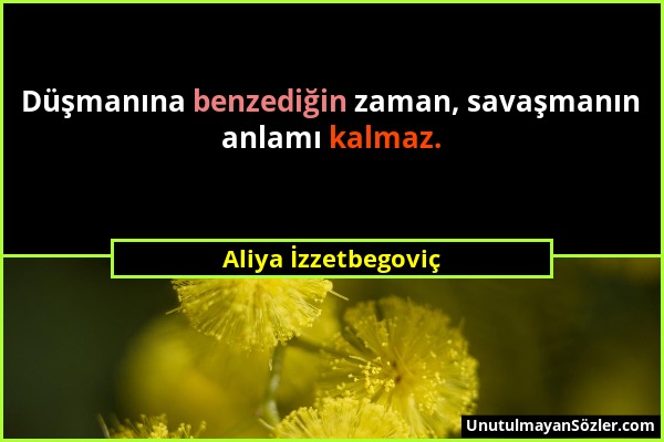 Aliya İzzetbegoviç - Düşmanına benzediğin zaman, savaşmanın anlamı kalmaz....