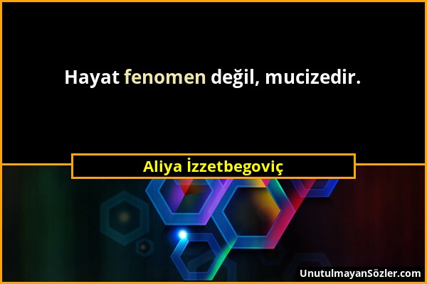 Aliya İzzetbegoviç - Hayat fenomen değil, mucizedir....