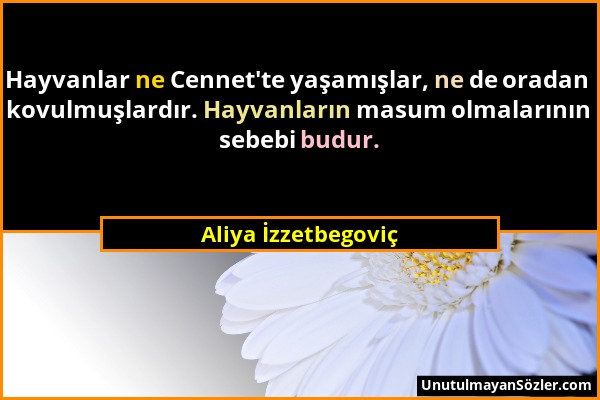 Aliya İzzetbegoviç - Hayvanlar ne Cennet'te yaşamışlar, ne de oradan kovulmuşlardır. Hayvanların masum olmalarının sebebi budur....