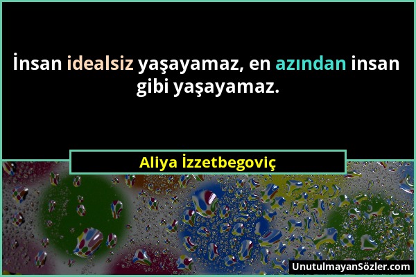 Aliya İzzetbegoviç - İnsan idealsiz yaşayamaz, en azından insan gibi yaşayamaz....