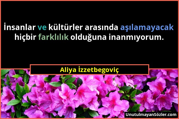 Aliya İzzetbegoviç - İnsanlar ve kültürler arasında aşılamayacak hiçbir farklılık olduğuna inanmıyorum....