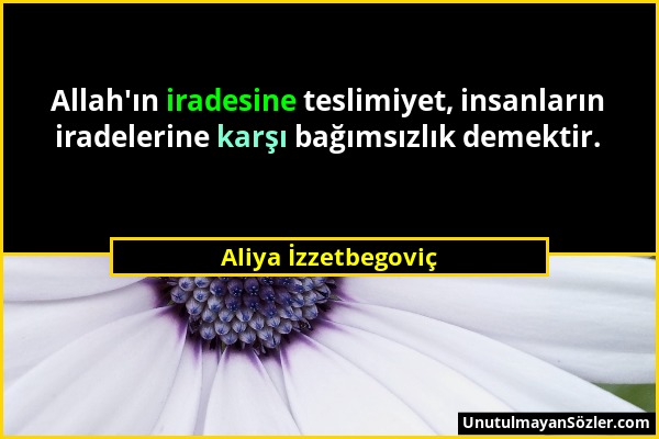 Aliya İzzetbegoviç - Allah'ın iradesine teslimiyet, insanların iradelerine karşı bağımsızlık demektir....