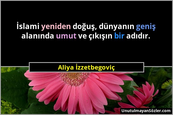 Aliya İzzetbegoviç - İslami yeniden doğuş, dünyanın geniş alanında umut ve çıkışın bir adıdır....