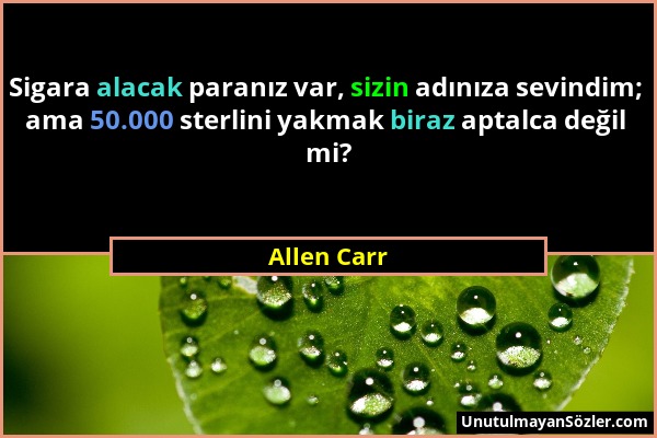 Allen Carr - Sigara alacak paranız var, sizin adınıza sevindim; ama 50.000 sterlini yakmak biraz aptalca değil mi?...