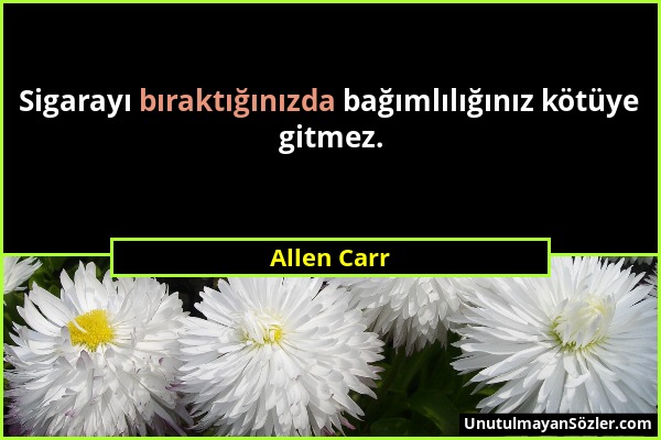 Allen Carr - Sigarayı bıraktığınızda bağımlılığınız kötüye gitmez....