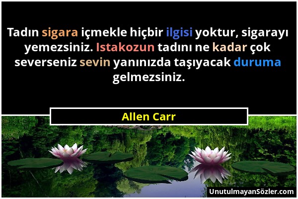 Allen Carr - Tadın sigara içmekle hiçbir ilgisi yoktur, sigarayı yemezsiniz. Istakozun tadını ne kadar çok severseniz sevin yanınızda taşıyacak duruma...