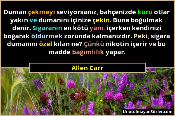 Allen Carr - Duman çekmeyi seviyorsanız, bahçenizde kuru otlar yakın ve dumanını içinize çekin. Buna boğulmak denir. Sigaranın en kötü yanı, içerken k...