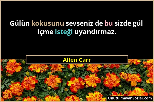 Allen Carr - Gülün kokusunu sevseniz de bu sizde gül içme isteği uyandırmaz....