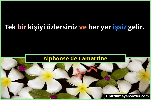 Alphonse de Lamartine - Tek bir kişiyi özlersiniz ve her yer işsiz gelir....