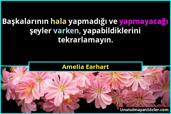 Amelia Earhart - Başkalarının hala yapmadığı ve yapmayacağı şeyler varken, yapabildiklerini tekrarlamayın....