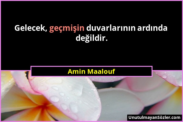 Amin Maalouf - Gelecek, geçmişin duvarlarının ardında değildir....