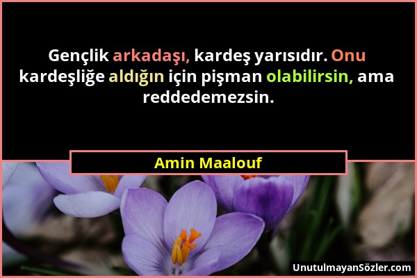 Amin Maalouf - Gençlik arkadaşı, kardeş yarısıdır. Onu kardeşliğe aldığın için pişman olabilirsin, ama reddedemezsin....